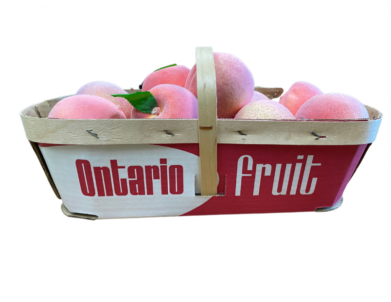 6 Quart Paper Basket Handled Wellington Produce Packaging