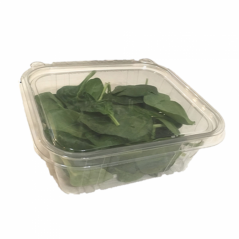 32oz Microgreen Clamshell Wellington Produce Packaging