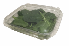 Clamshell Packaging - Wellington Produce Packaging