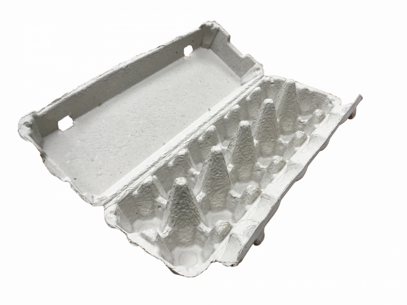 Egg Cartons (1 dozen) Wellington Produce Packaging